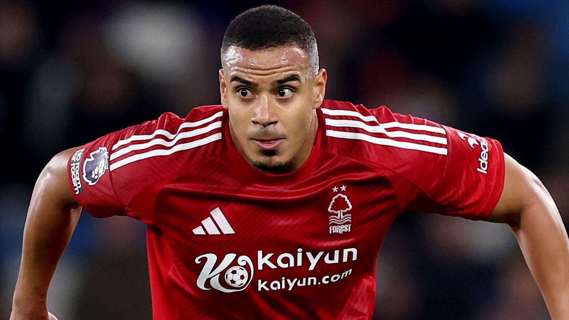 使他们在欧 使他们在欧