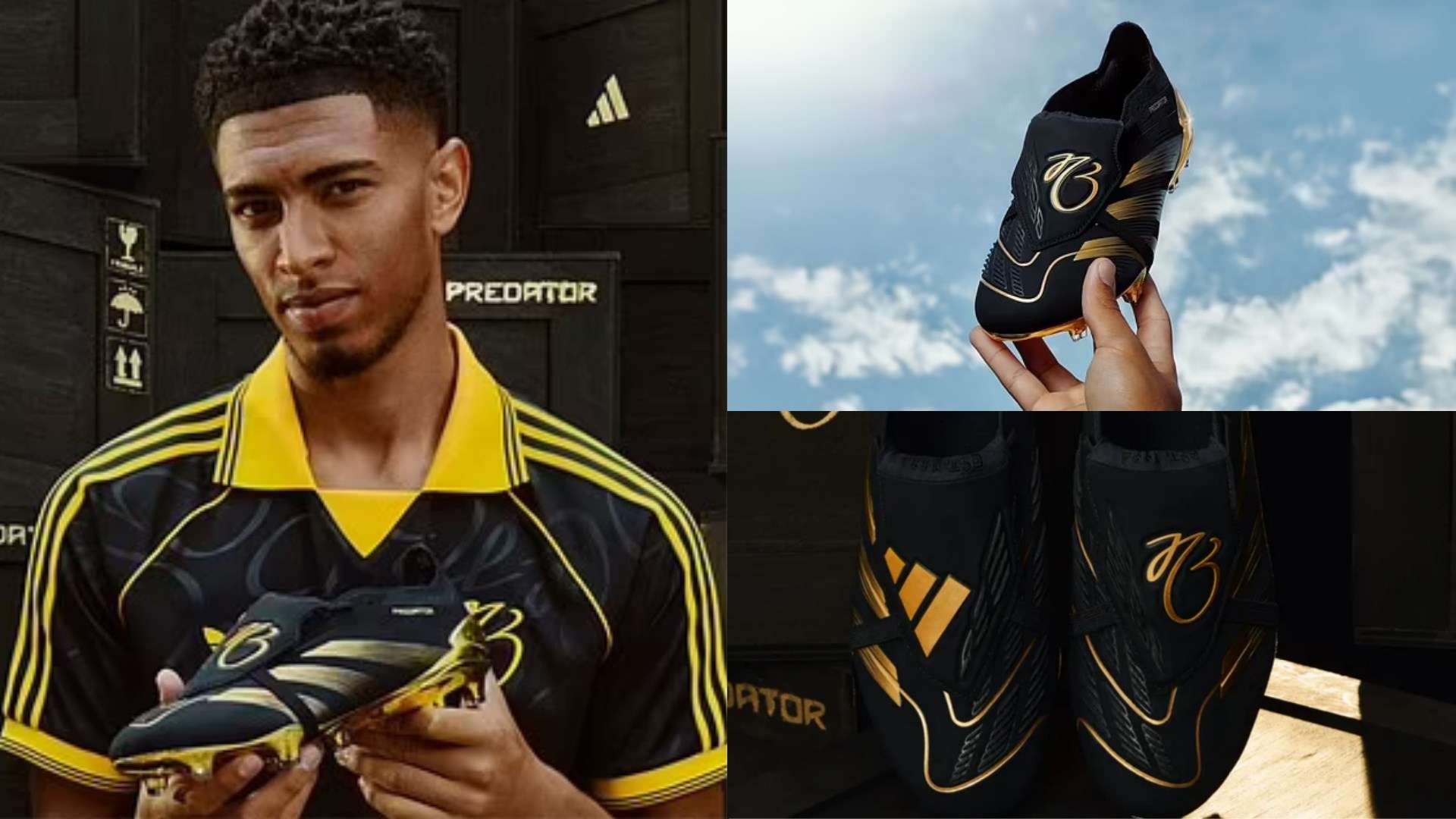 这笔资金也 这笔资金也