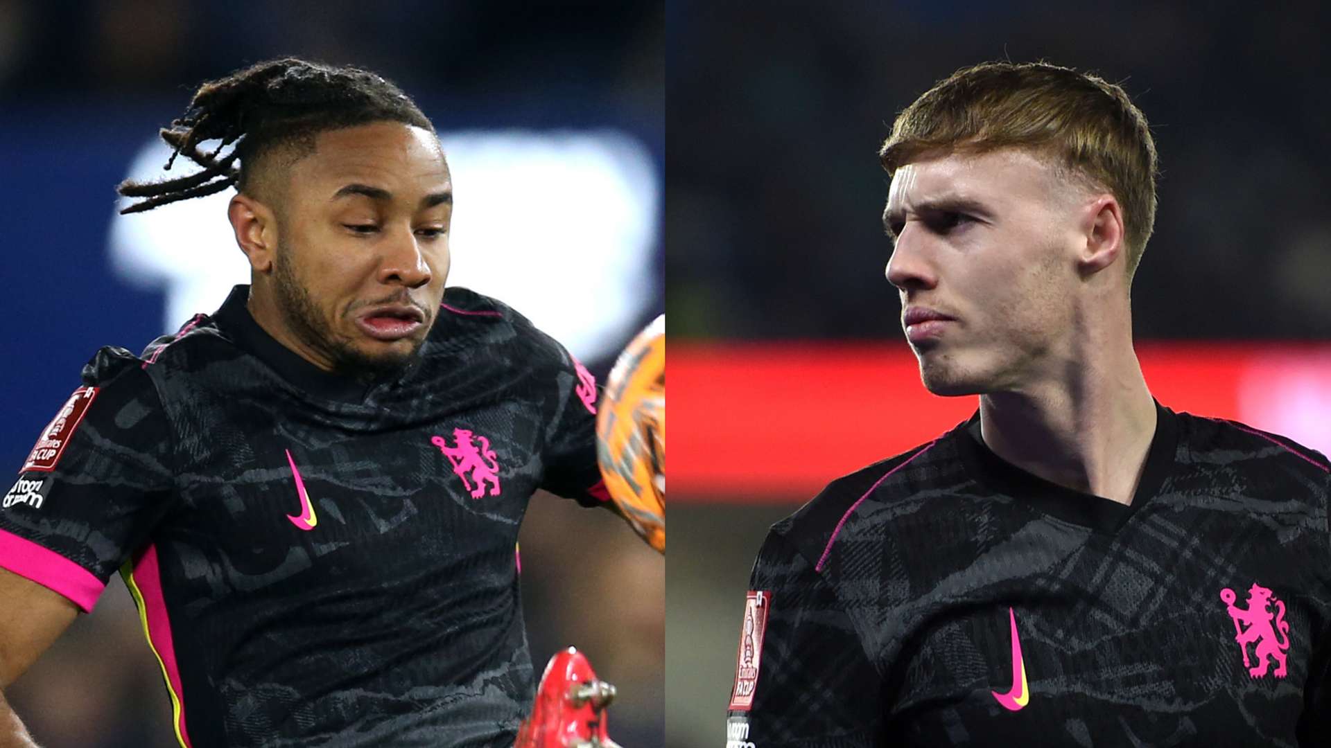 中占据重要 中占据重要